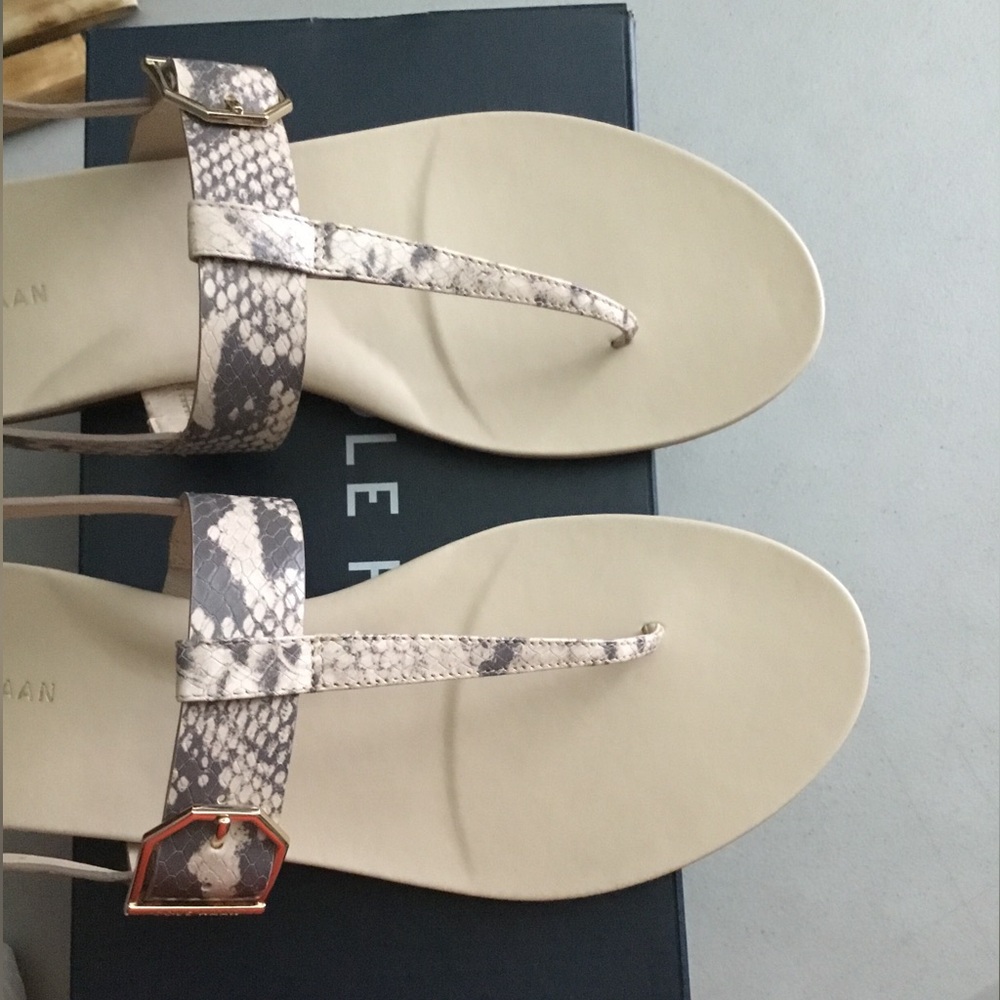 COLE HAAN - Picture 2 of 10